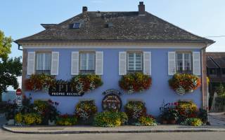 Portes ouvertes Domaine SPITZ Blienschwiller